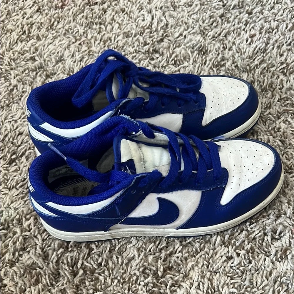 Nike Blue and White Low-Top Sneakers